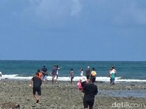 Buaya Berenang di Pinggir Pantai Bikin Panik Warga Maluku Tengah