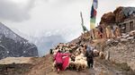 Foto: Jalan Paling Ngeri di Dunia Ada di Pegunungan India