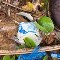 Viral Cerita Miris Sampah Plastik Produk Indonesia Nyasar ke Thailand