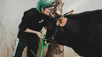 Tak mau kalah dengan Ricis, youtuber, Atta Halilintar juga bagikan momen saat bersama hewan kurban. Bahkan Atta sampai menciumnya. Foto: Istimewa