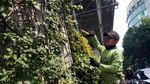 Jelang HUT RI, Taman Kolong JLNT Antasari Dipercantik