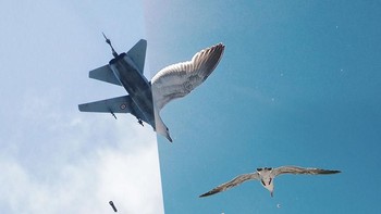 Bom jatuh dari MIG-23 di timur ibukota Damaskus. Foto: Uğur Gallenkuş