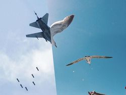 Perbandingan Dua Foto Kehidupan yang Menyayat Hati