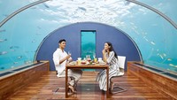 Restoran ini merupakan bagian dari resor mewah bernama Conrad Rangali. Dan tentu saja, hanya tamu resort inilah yang bisa menikmati makan siang sembari menikmati ratusan ikan berenang ke sana kemari. (Conrad Maldives Rangali Island)