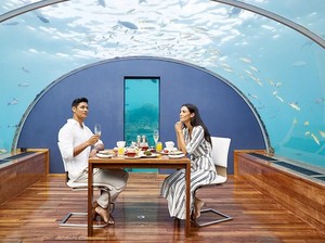 Serasa Dunia Aquaman, Makan di Restoran Bawah Laut Maldives