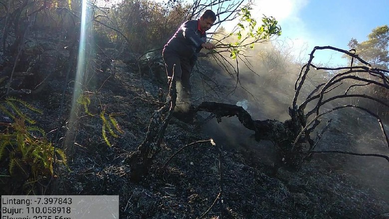 Hutan di Lereng Gunung Sumbing Wonosobo Terbakar Hutan di Lereng Gunung Sumbing Wonosobo Terbakar