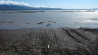 Danau Limboto berlokasi di Kabupaten Gorontalo, Gorontalo.