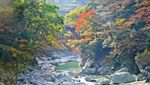 Foto: Jembatan Tradisional Unik dari Jepang