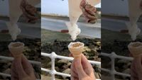 Apes! Ini Detik-detik Es krim Seorang Pria Direbut Burung Camar