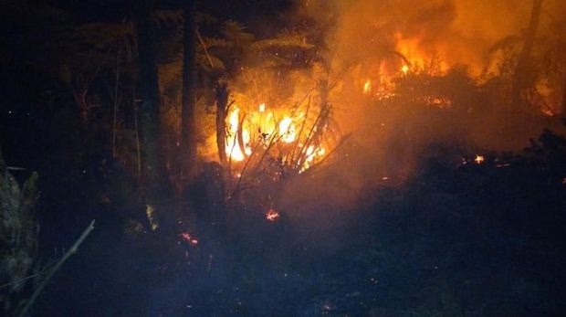 Kebakaran 2 hektare lahan di Banjarnegara. 
