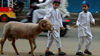 Semangat dua bocah ini patut dicontoh. Menjelang Idul Adha, mereka menggiring kambing sambil berjalan kaki. Foto: istimewa