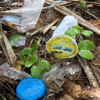 Viral Cerita Miris Sampah Plastik Produk Indonesia Nyasar ke Thailand