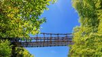 Foto: Jembatan Tradisional Unik dari Jepang