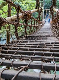 Uniknya Jepang Punya Jembatan Tradisional dari Tanaman Anggur