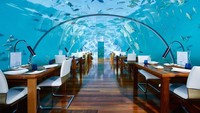 Restoran Ithaa tidaklah besar, hanya berukuran panjang 9 meter dengan lebar 5 meter. Restoran ini punya bangku terbatas, hanya mampu menampung 14 orang saja. (Conrad Maldives Rangali Island)