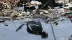 Petugas Berjibaku Membersihkan Sampah di Kali Busa