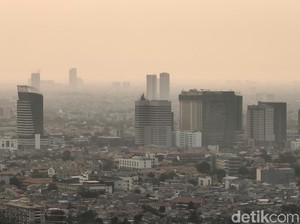 Tekan Polusi, BMKG Sarankan DKI Atur Transportasi dan Buat Hutan Kota
