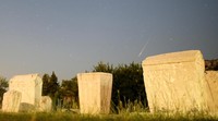 Penampakannya terlihat daro batu nisan abad pertengahan di kawasan Radimlja, Stolac, Bosnia.