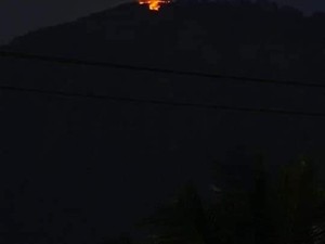 Tanaman Kering Diduga Picu Kebakaran di Puncak Gunung Batukaru Bali