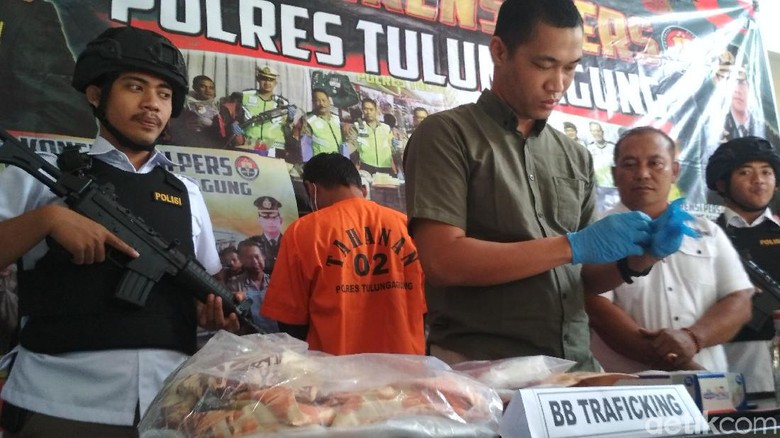 Tersangka Prostitusi Anak di Pesisir Selatan Trenggalek Kembali Diamankan Tersangka Prostitusi Anak di Pesisir Selatan Trenggalek Kembali Diamankan