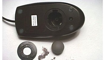 Membersihkan mouse yang masih ada bolanya adalah kegiatan yang cukup rutin. Foto: Bored Panda