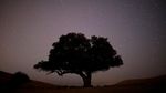 Gemerlap Langit Israel Berhiaskan Hujan Meteor Perseid