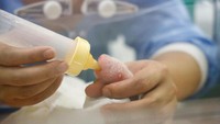 Agar induknya Hao Hao dapat beristirahat, penjaga kebun binatang akan menempatkan bayi panda inkubator dan memberikan makanan lewat botol. Benoit Bouchez Pairi Daiza/Handout via Reuters.