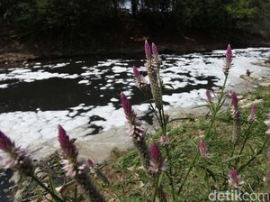Ulah Kapal Nakal, Laut Kepulauan Riau Tercemar Limbah Minyak