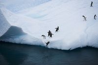 (iStock)