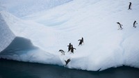Selain kering, gurun ini pun sangat berangin. Tak ada manusia yang sanggup untuk hidup di sini. Hanya penguin, tungau, alga dan vegetasi tundra yang sanggup bertahan di sini. (iStock)