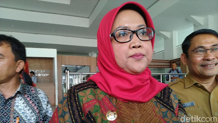 Bupati Bogor Ade Yasin (Sachril-detik)