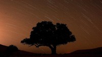 Teknik fotografi long exposure memperlihatkan hujan meteor perseid di wilayah Israel.