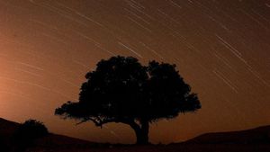 Gemerlap Langit Israel Berhiaskan Hujan Meteor Perseid