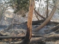 Cerita AKBP Kaswandi 3 Malam di Titik Hotspot Demi Padamkan Karhutla