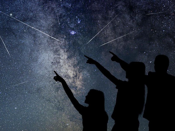 Father and his daughter are watching Meteor Shower. Night sky.