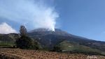 Puluhan Relawan Dikerahkan Padamkan Api di Lereng Gunung Sumbing