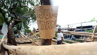 Mereka menjual pohon tersebut mulai dari harga Rp 800 ribu hingga Rp 1 juta berikut ongkos kirim ke seluruh Jakarta.