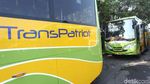 Penambahan Dua Trayek Baru Transpatriot Bikin Organda Khawatir