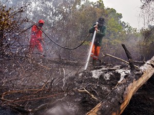 64 Orang dan 1 Perusahaan Jadi Tersangka Karhutla Riau-Kalbar