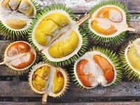 Download 66 Gambar Durian Lucu Paling Baru Gratis HD