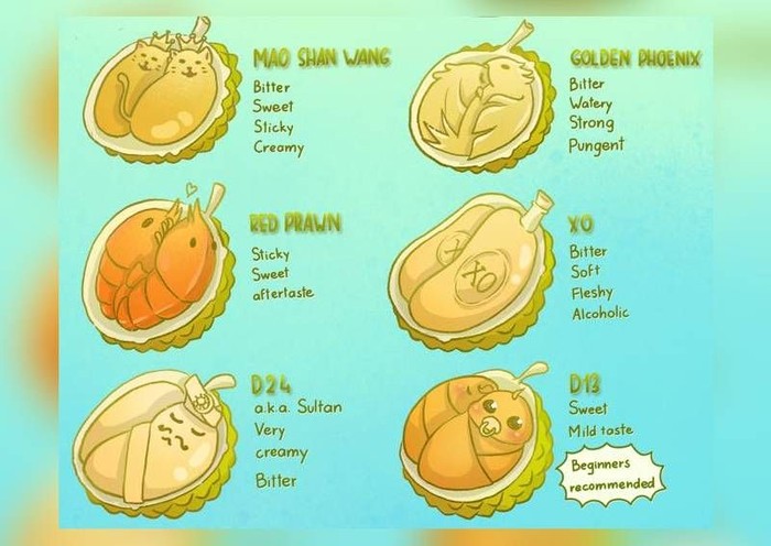  Gambar  Durian  Lucu Pojok Ketawa