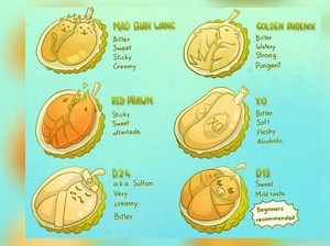 Seniman Ini Buat Infografis Lucu Berisi Jenis dan Rasa Durian Populer