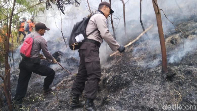 Kebakaran Lahan di Lereng Gunung Sumbing Berhasil Dipadamkan Kebakaran Lahan di Lereng Gunung Sumbing Berhasil Dipadamkan