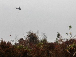 Polres Pelalawan Tangkap Warga yang Kuasai Ilegal Lahan Tesso Nilo