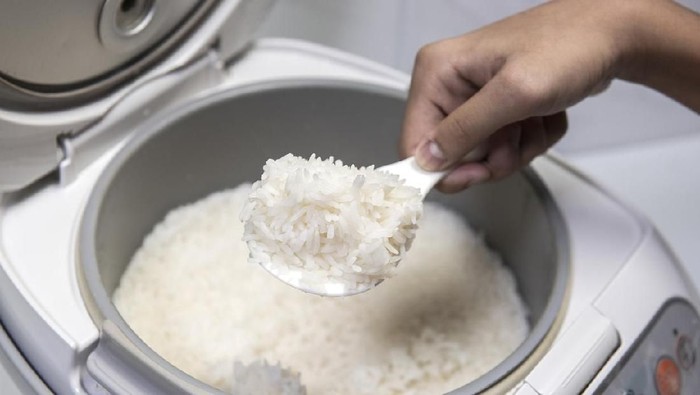 ilustrasi rice cooker