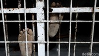 Jika semua proses sudah dilalui, nantinya pasien dapat dikembalikan ke keluarga.
