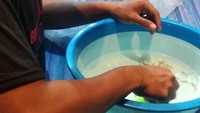 Ia menjelaskan, 15 kotak tersebut terdiri dari 1 kotak styrofoam yang berisi  1.826 BL jenis mutiara dan 14 kotak berisi 89.804 BL jenis pasir. Dengan asumsi harga BL jenis pasir Rp150.000/ekor dan jenis mutiara Rp200.000/ekor, total potensi kerugian negara yang berhasil diselamatkan adalah Rp13.835.800.000. Pool/KKP.
