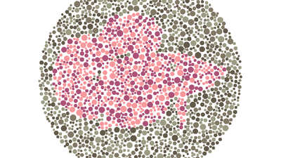 Tes Buta Warna, Coba Tebak Siluet Hewan Apa yang Terlihat?