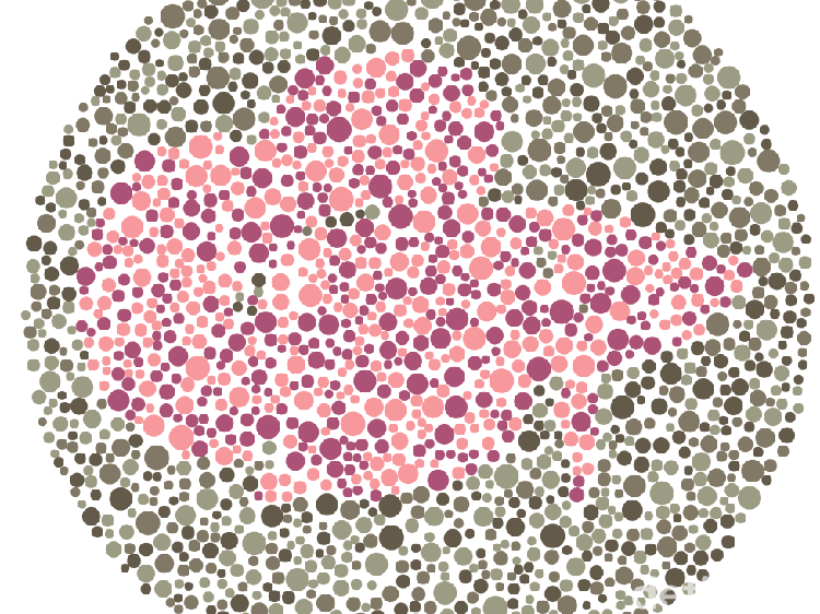 Tes Buta Warna, Coba Tebak Siluet Hewan Apa yang Terlihat?