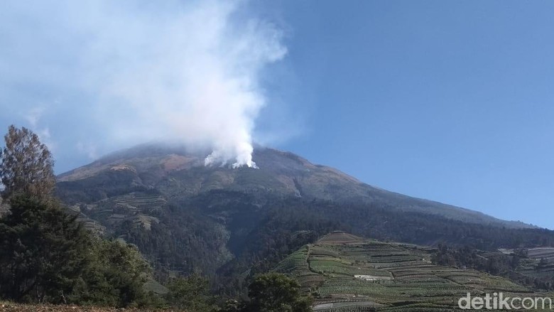 Kebakaran Gunung Sumbing, Pengelola Pastikan Semua Pendaki Telah Turun Kebakaran Gunung Sumbing, Pengelola Pastikan Semua Pendaki Telah Turun